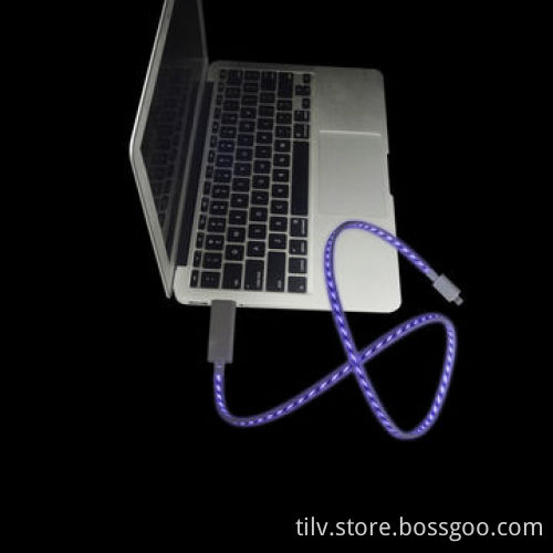 EL Light UP USB Cable for iPad Mini/4